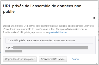 L'interface URL privée de l'ensemble de données non publié, affichant une URL privée masquée qui permet d'accéder à l'ensemble de données anonymisé.